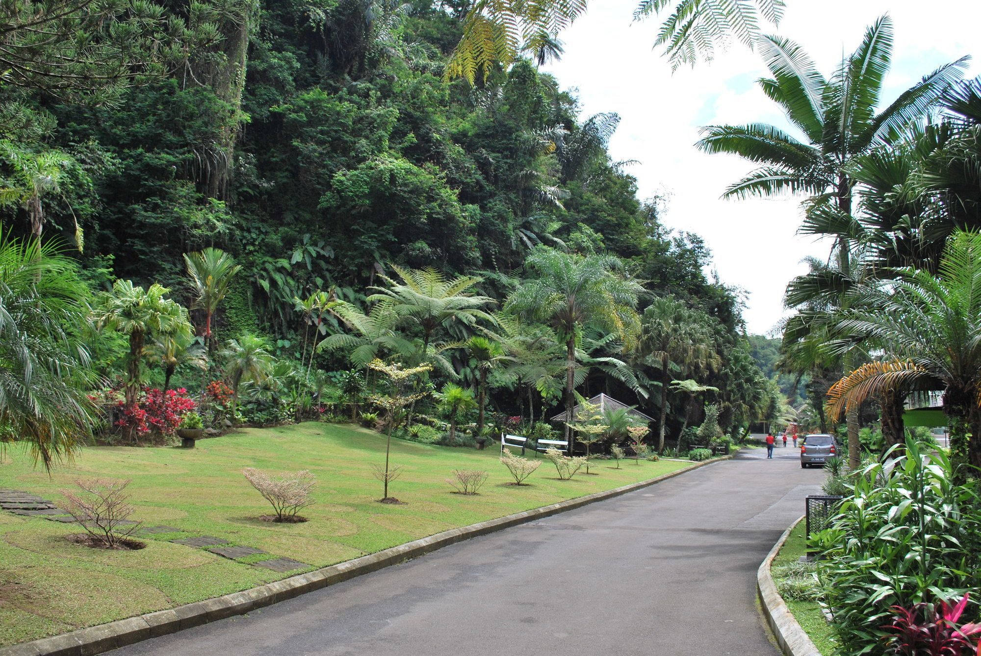 Zuri Resort Cipanas Puncak Exterior foto